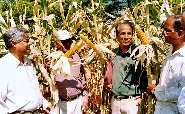Dr. C.R. Hajra, Agriculture Commissioner of India, evaluates SKF Corn Star-2001 with Dr. K.B. Nigam, N.S. Sipani and Ganeshram Patidar